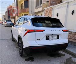 جیتۆر داشينگ